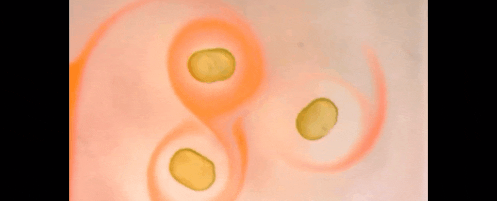 مایع مغناطیسی چیست و چگونه ممکن است؟