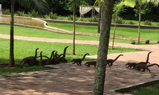 تصاویر جالبی که در نگاه اول شما را گول می زند