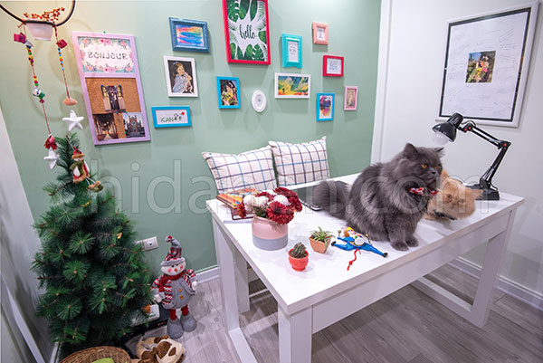 دکوراسیون منزل ایرانی جدید و شیک، ملیسا و فریبرز در رشت زندگی می‌کنند!