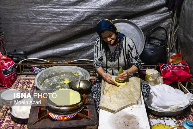 بازدید «معصومه ابتکار» از طرح ایجاد اشتغال پایدار زنان سرپرست خانوار گیلان