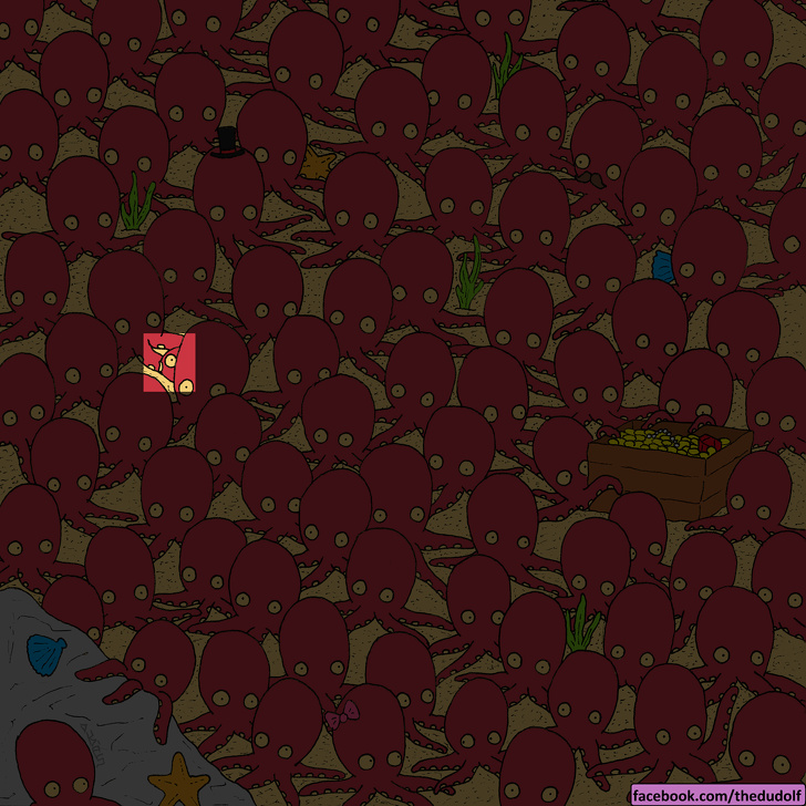 چند معمای تصویری که تیزبین‌ترین چشم‌ها هم قادر به حلشان نیست