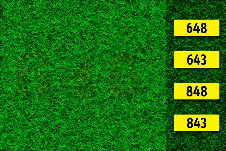 ۱۰ معمای تصویری برای آنها که چشمان تیزبینی دارند