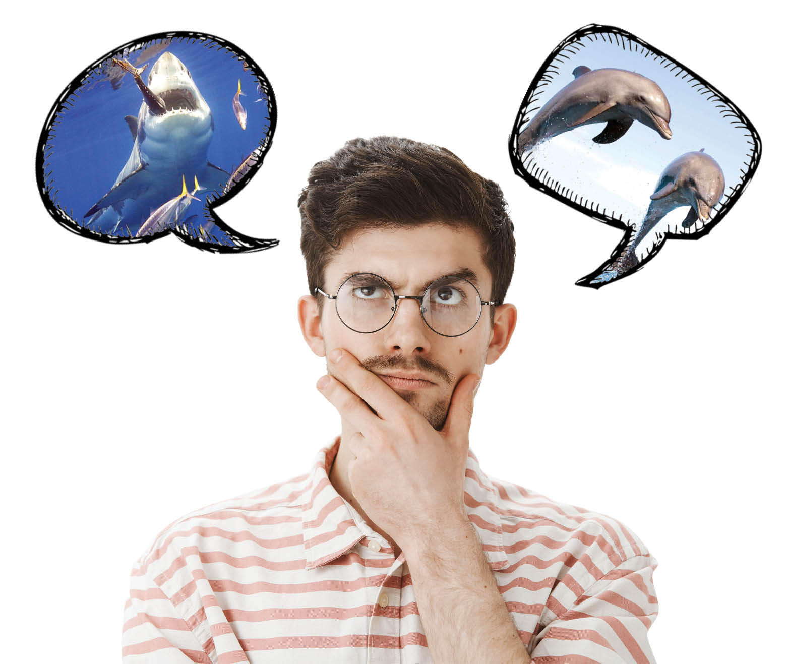 تفکر دلفینی دارید یا کوسه‌ای؟