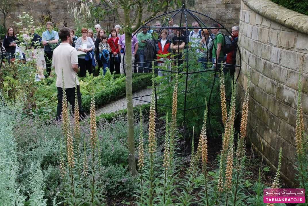 خطرناک‌ترین باغ گیاهان جهان با چندین کشته در یکسال