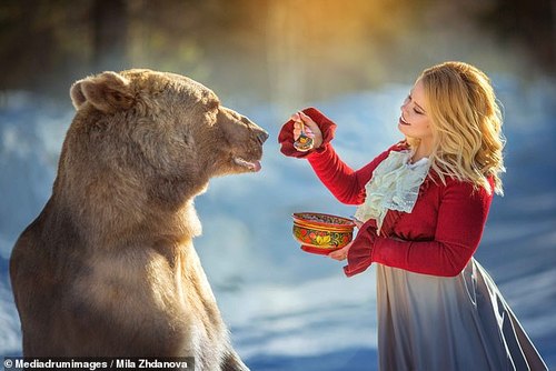 تصاویری دیدنی از خرسی که مدل شد