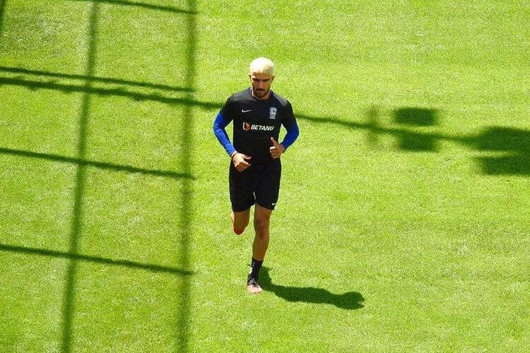 عقاب بهتر است یا بچه عقاب؟