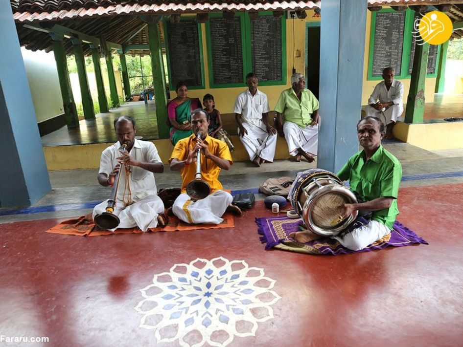 جشن پیروزی کامالا هریس در روستای آبا و اجدادی/ عکس