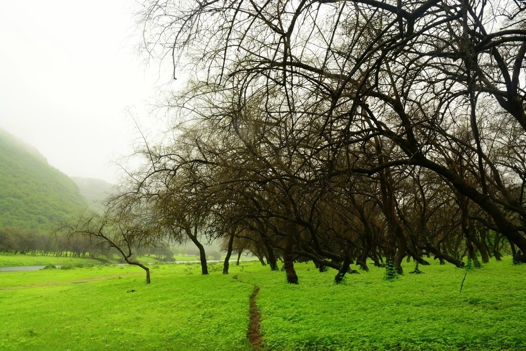 تصاویری که ثابت می‌کند عمان با زیبایی‌های طبیعی احاطه شده