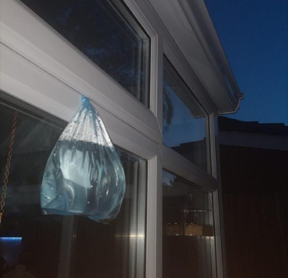 جلوگیری از ورود مگس ها به خانه