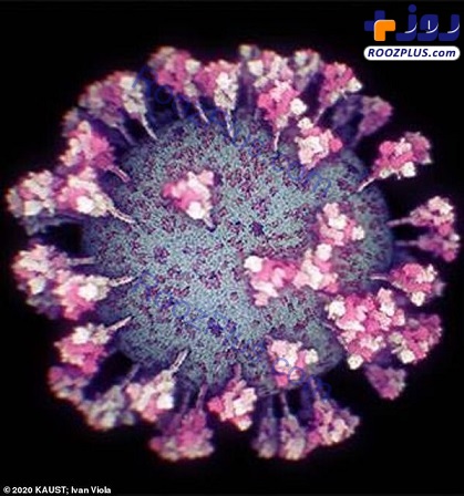 جدیدترین تصویر واقعی از ویروس کرونا