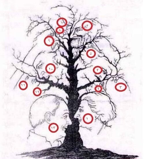 با این تست ضریب هوشی خود را به دست آورید