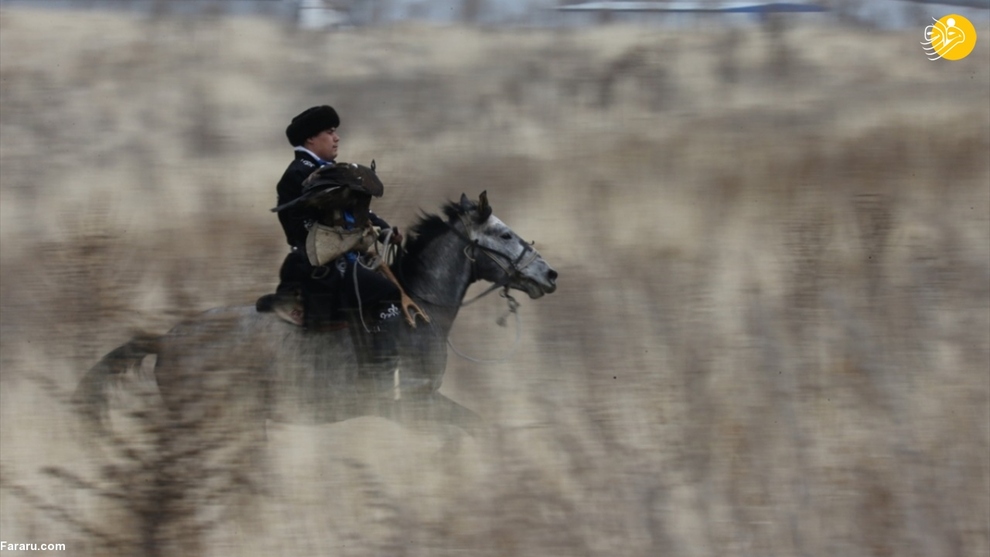 مسابقه شکار با عقاب در قزاقستان/ عکس‌ها