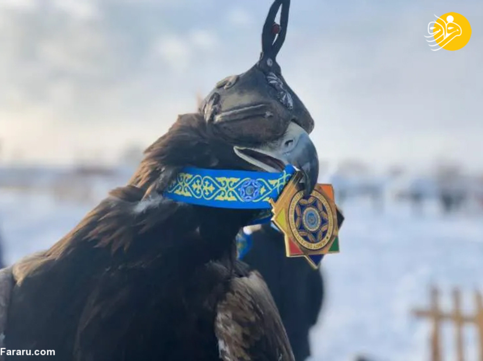 مسابقه شکار با عقاب در قزاقستان/ عکس‌ها