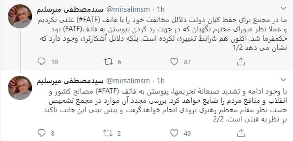 خط‌ونشان میرسلیم درباره FATF/ دلایلمان را برای حفظ کیان دولت علنی نکردیم