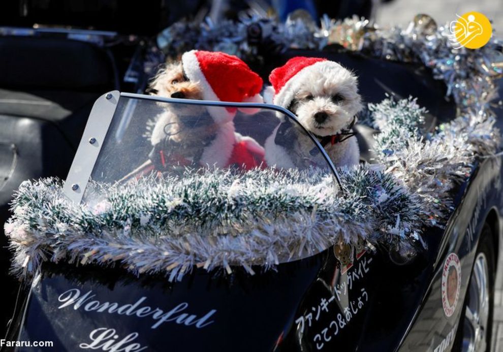 موتورسواری بابانوئل‌ها در محکومیت کودک آزاری/ تصاویر‌