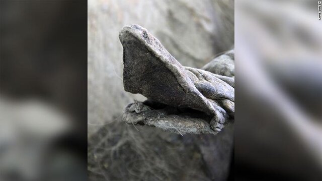 قدیمی‌ترین دی ان ای جهان کشف شد