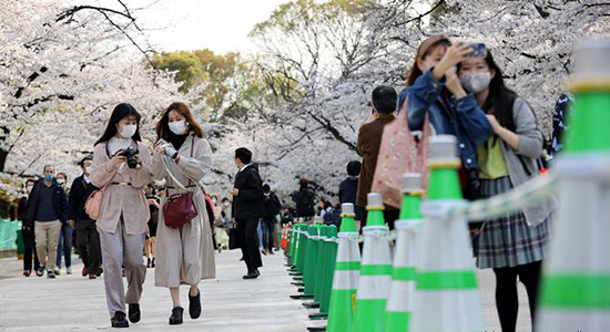 زیباترین جشن‌های بهاره در سراسر جهان از دریچه دوربین