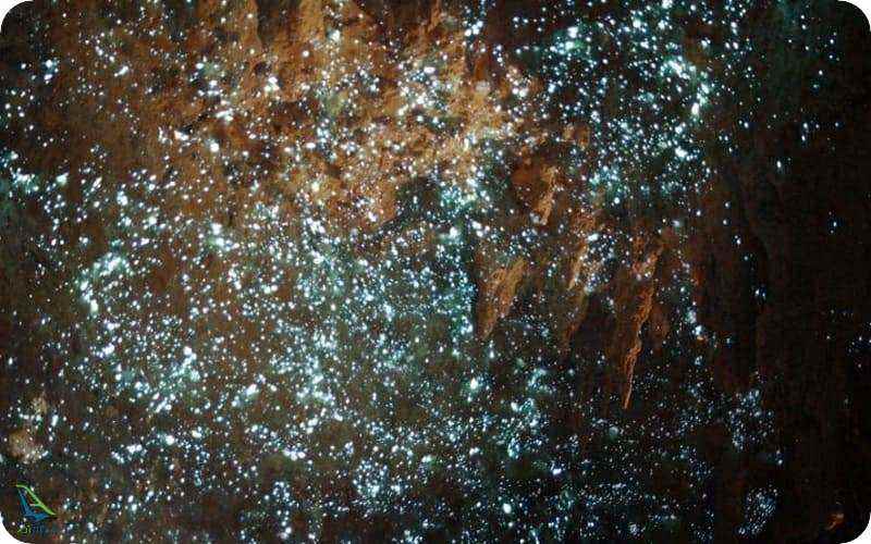 غار کرم شبتاب