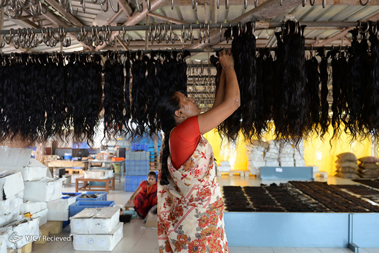 تجارت مو در هند 