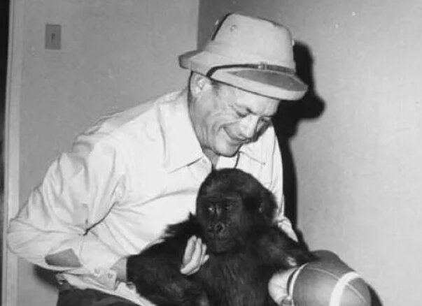 وعده‌های عجیب و غریب در انتخابات سراسر جهان/ رکورددار نامزد شدن در گینس کیست؟