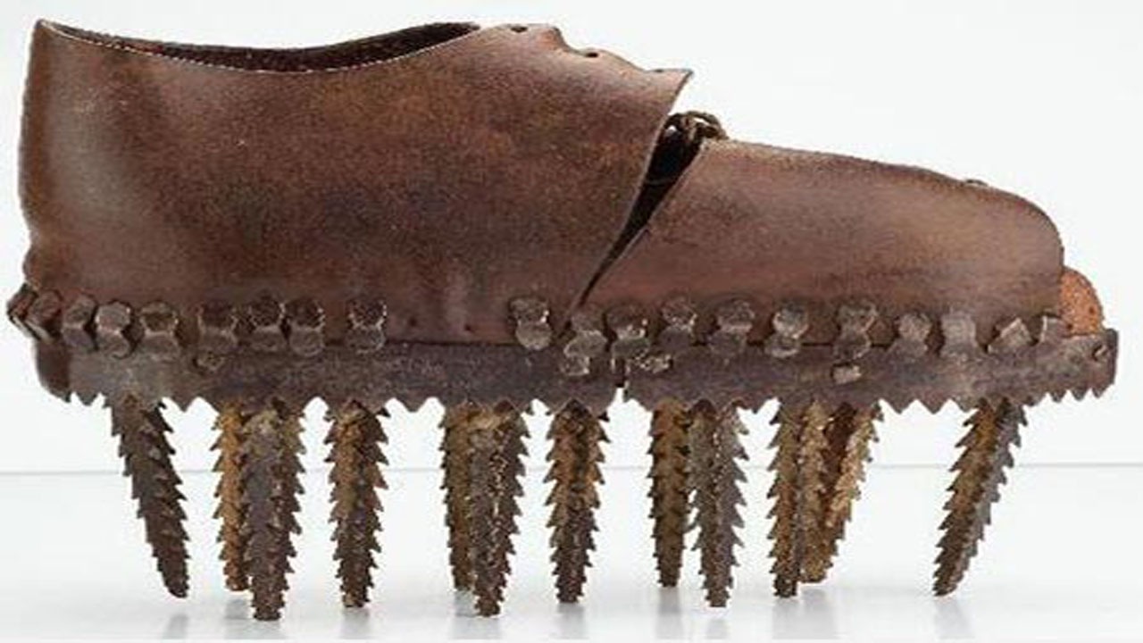 موزه‌های عجیب و غریب جهان + تصاویر