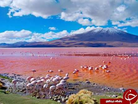 عجیب‌ترین دریاچه‌های جهان + تصاویر