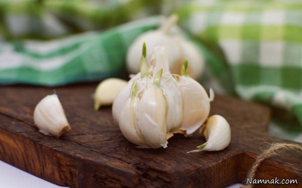 نگهداری از سیر