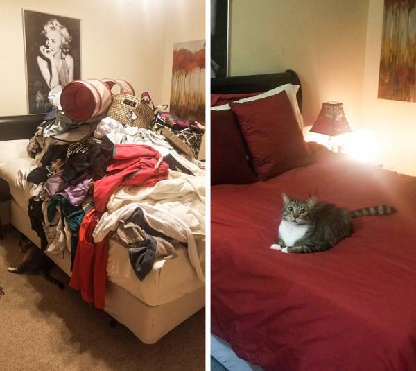 قبل و بعد اتاق شلوغ