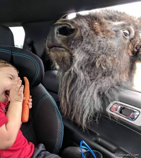 عکسهای بامزه کودکان