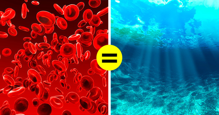 ۱۷ حقیقت علمی عجیب و جالب که احتمالا چیزی از آن ها نمی دانید