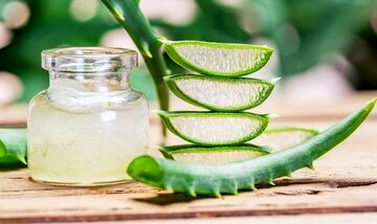 ۶ خاصیت معجزه آسای « آلوئه ورا » برای سلامتی