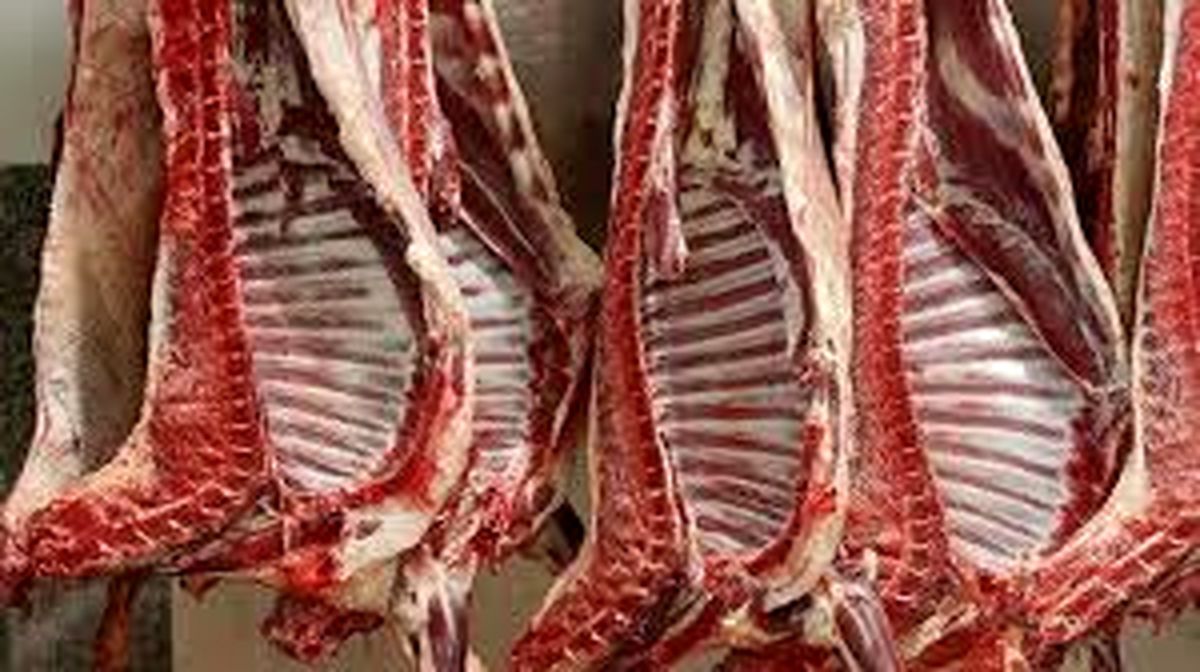 توزیع گوشت وارداتی با قیمت زیر ۷۰۰ هزار تومان از هفته آینده