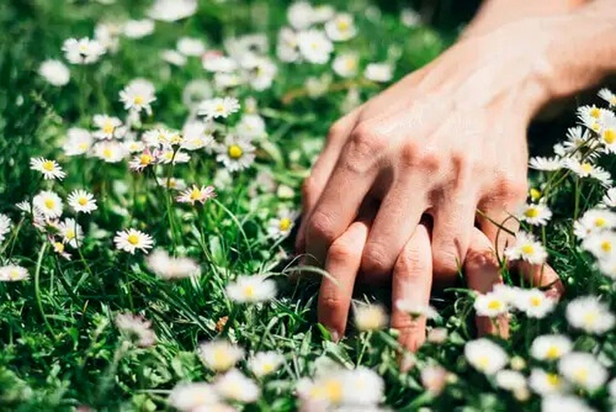 رابطه جنسی در زندگی زناشویی چقدر اهمیت دارد؟

