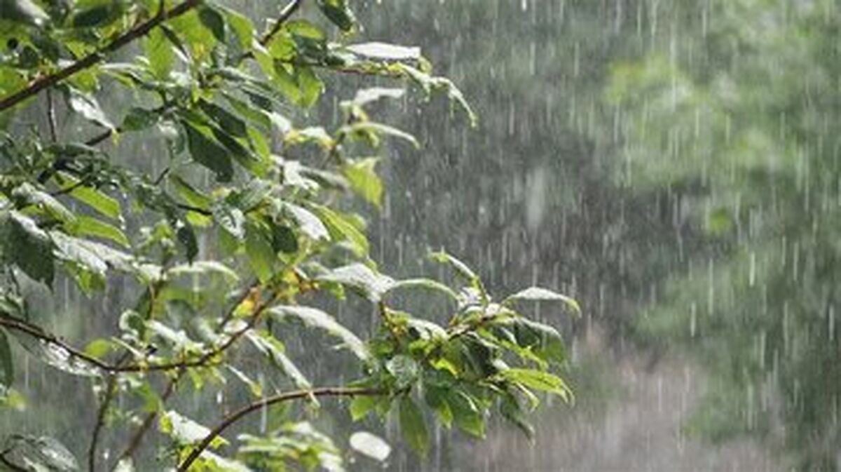 رگبار باران در ۸ استان
