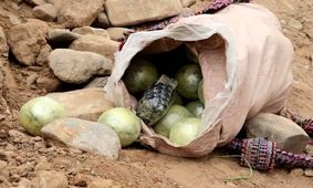 کشف ۷ کوله حاوی مواد مخدر در مرز تایباد