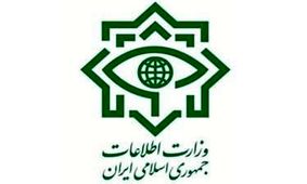 دستگیری یکی از اعضای گروه ترویستی تندر از سوی سربازان گمنام امام زمان