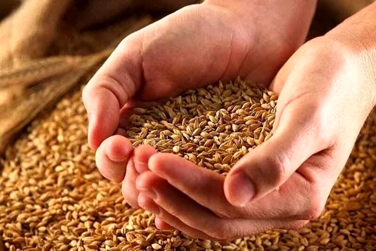 افزایش ۲۵ درصدی پرداخت زکات