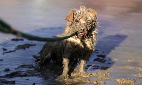 عکس های جالب و دیدنی