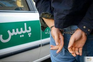 دزدی از خانه سارق حرفه ای