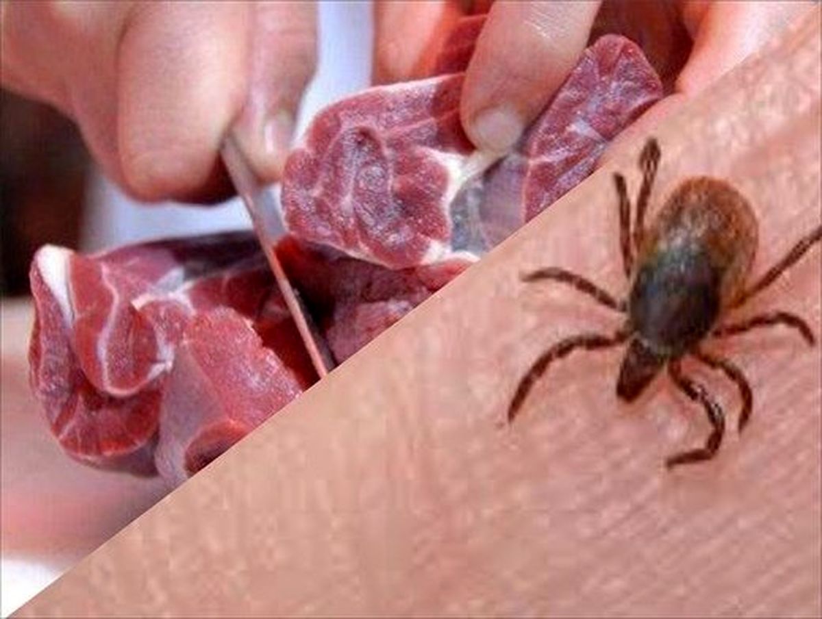 فوت بیمار مبتلا به تب خونریزی دهنده کریمه کنگو در این شهر