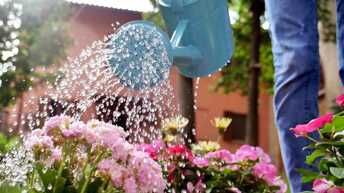 باغبان ها کمتر به سرطان مبتلا می‌شوند
