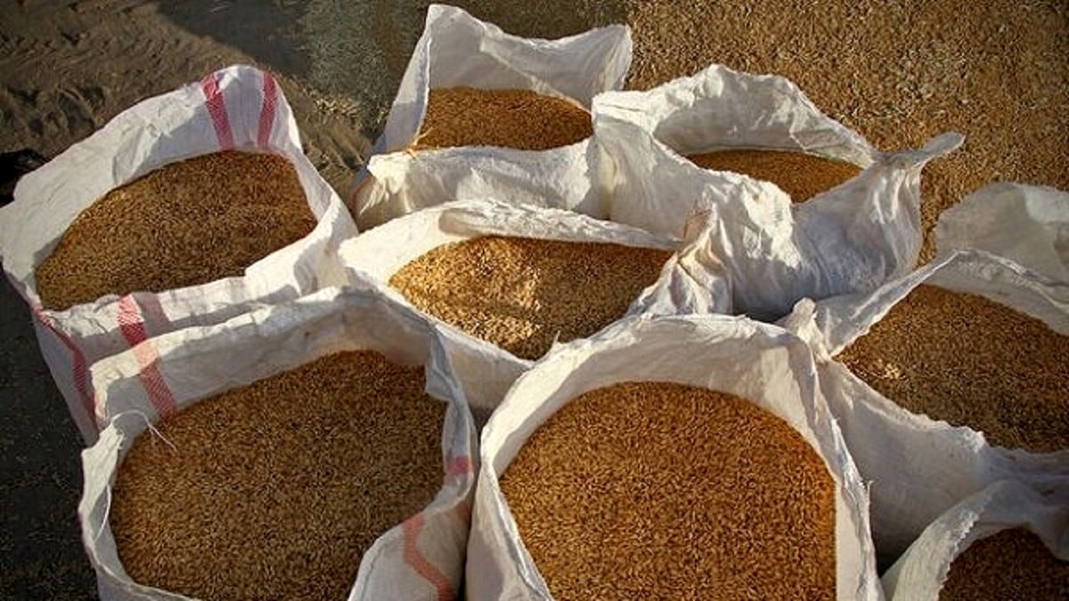 کشف ۱۵ تن گندم احتکار شده در بابل