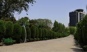 ماجرای ساخت هتل در بوستان‌های جنگلی تهران/ ویدئو 