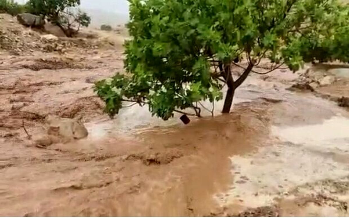 کشف دومین پیکر جانباخته سیل ایوانکی