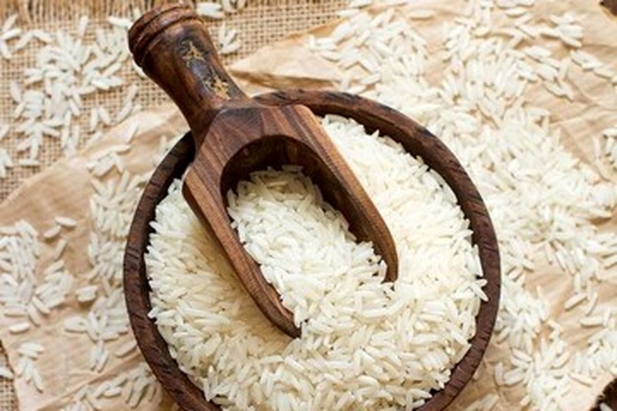 برنج هندی ارزان شد 
