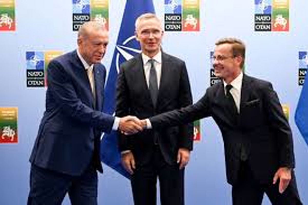 ترکیه مجبور بود پیوستن سوئد به ناتو را بپذیرد/ اردوغان طرفدار اوکراین است