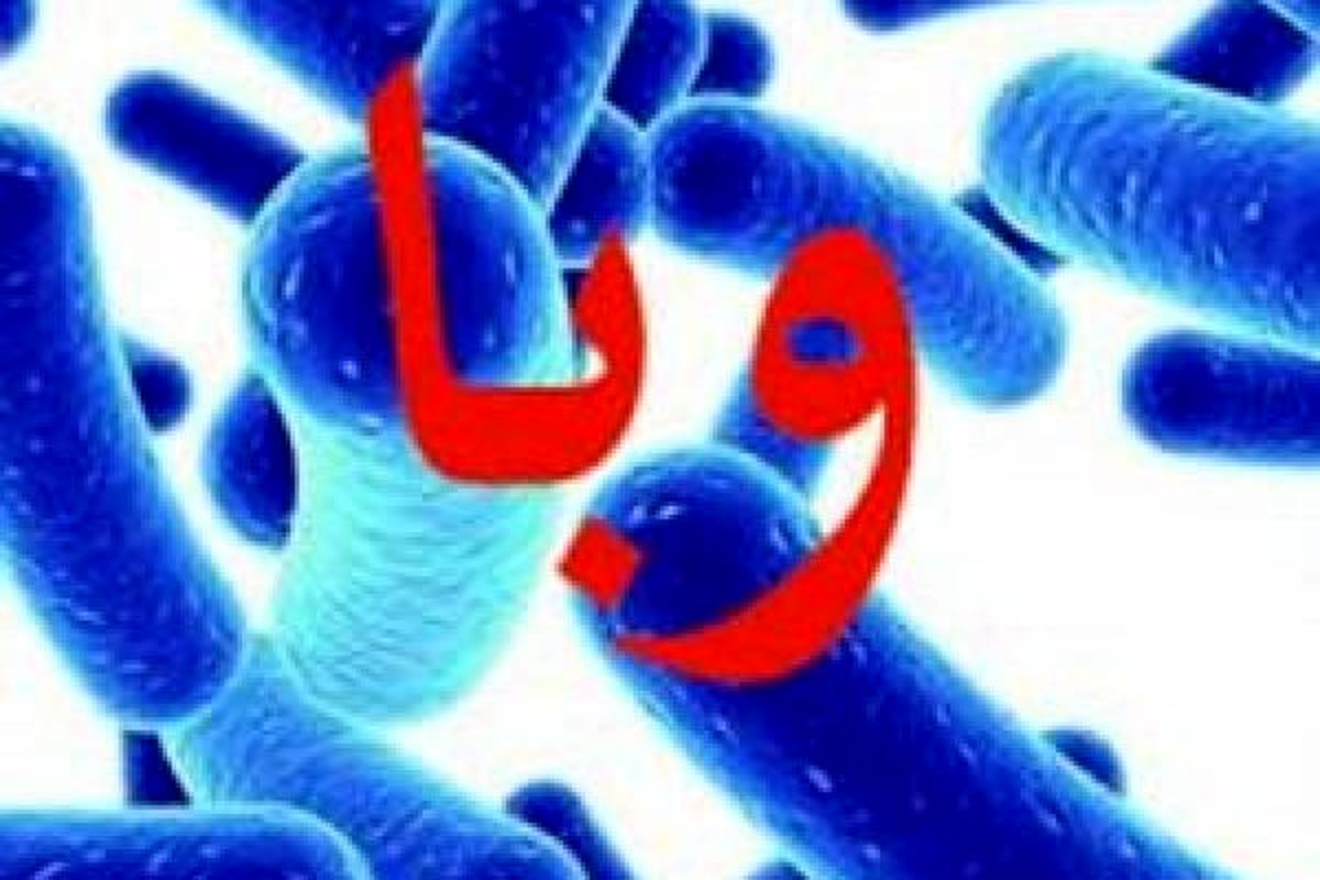 نگرانی از افزایش موارد وبا در آستانه پاییز