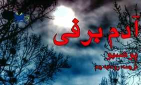 معرفی کتاب آدم‌برفی / ناپدید شدن مرموز ۱۱ زن در اولین برف سال