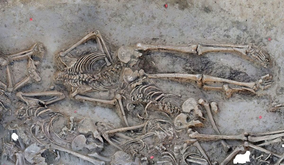 معمای یک گور جمعی ۷ هزارساله با اسکلت‌های بدون سر