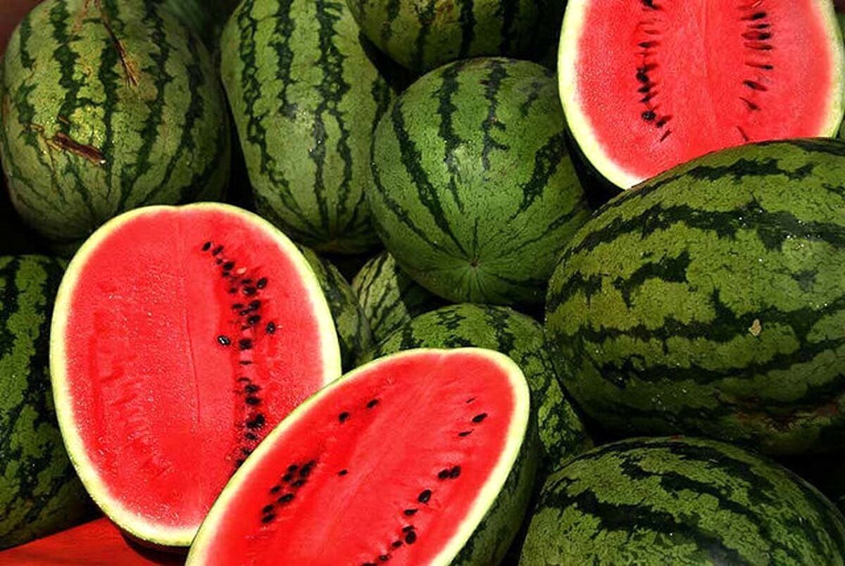 هندوانه شیرین و آبدار را چطور انتخاب کنیم؟

